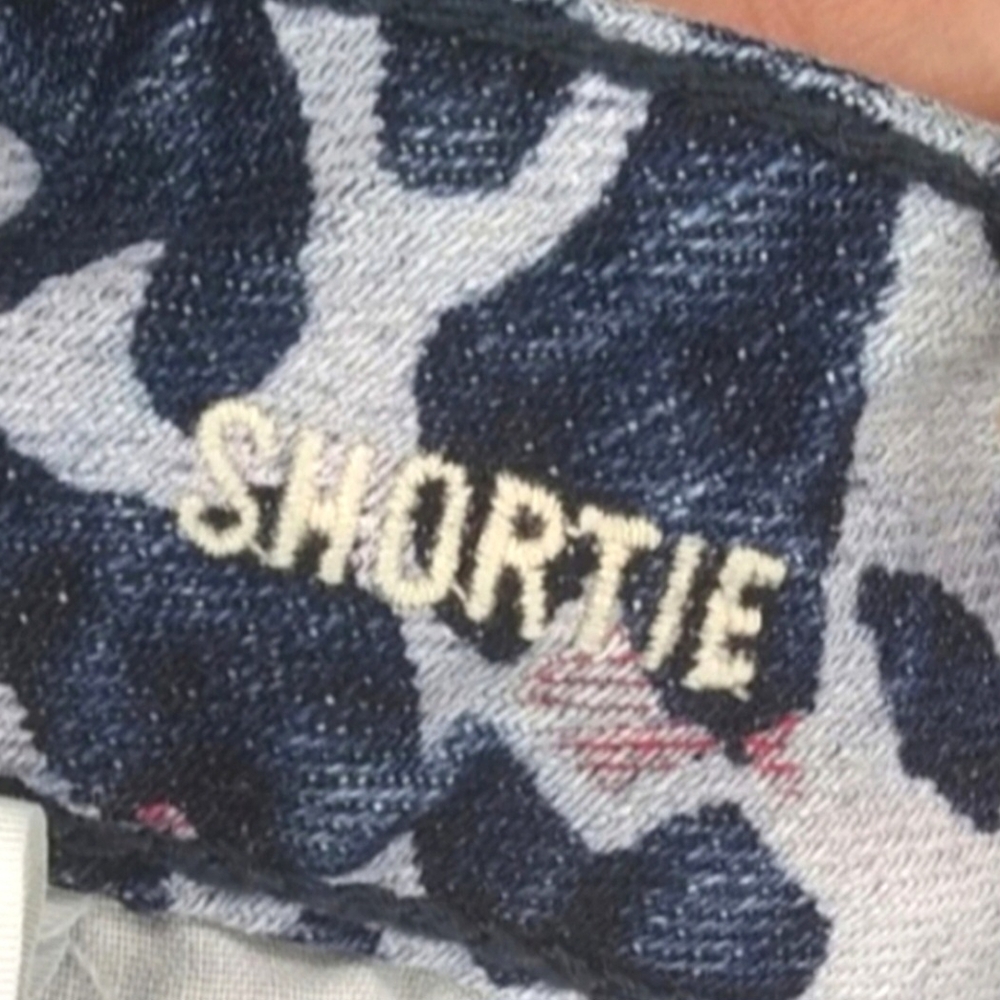 American Eagle Outfitters Blue and Red Leopard Jean Shorts | EUC | Shortie - Picture 5 of 16